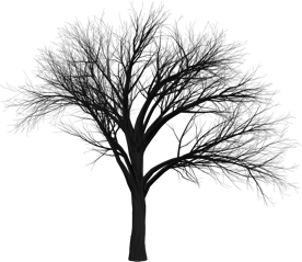 Wrathweb tree logo